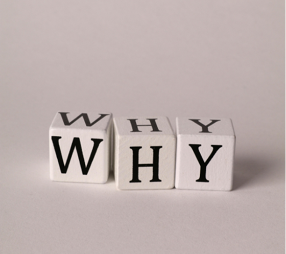 Reasons to choose our plumbing service